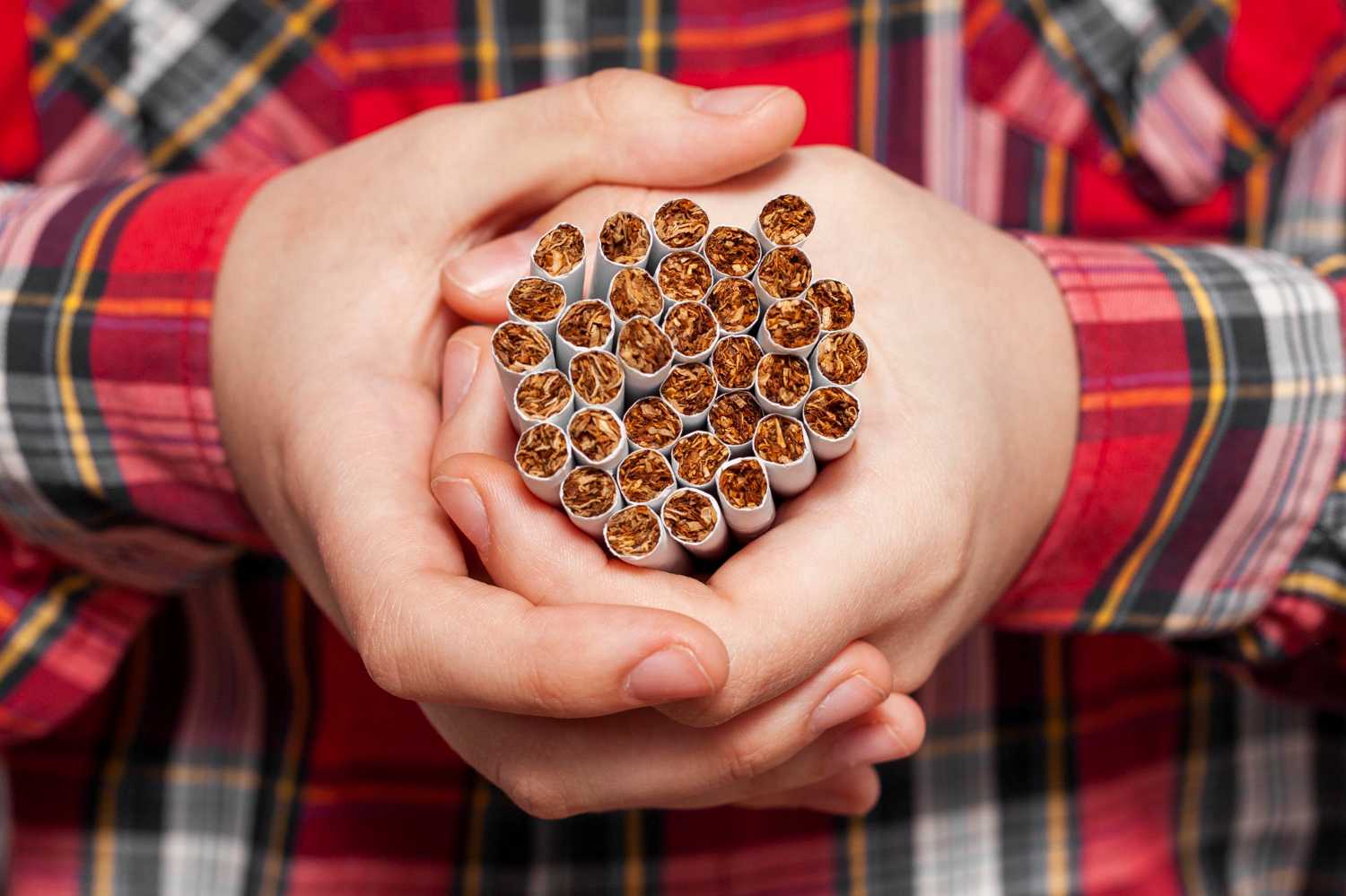 Guia de las mejores Tabaqueras Mestango para una experiencia premium en el mundo del tabaco Guia de las mejores Tabaqueras Mestango para una experiencia premium en el mundo del tabaco