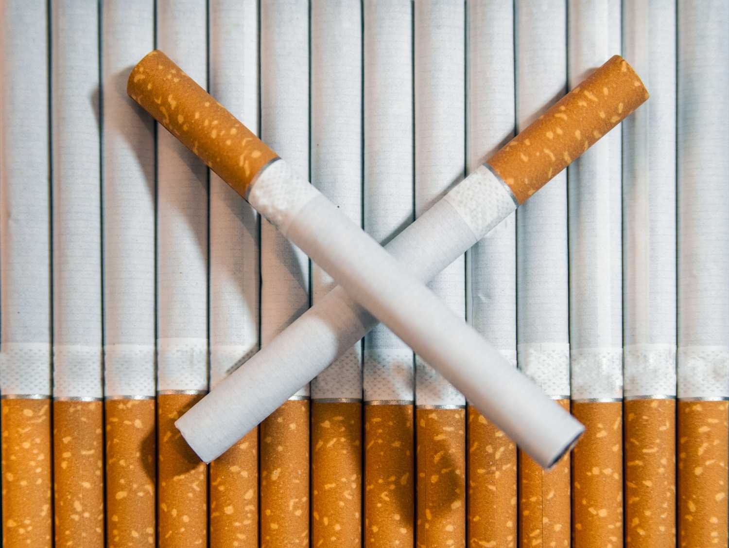 Guia de las mejores Tabaqueras Mestango para una experiencia premium en el mundo del tabaco Guia de las mejores Tabaqueras Mestango para una experiencia premium en el mundo del tabaco